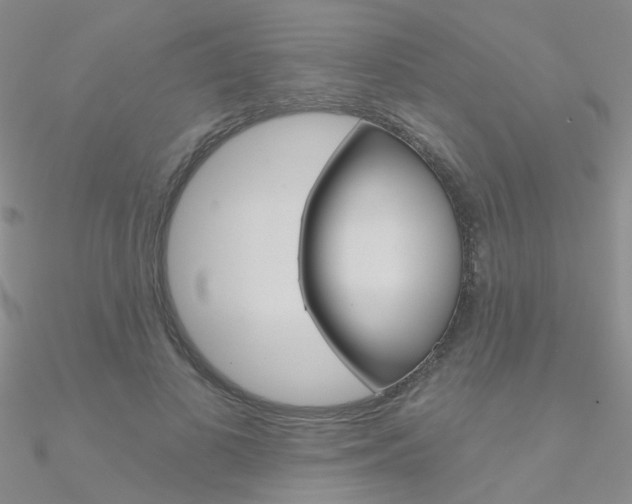 X0000090970693200708021143