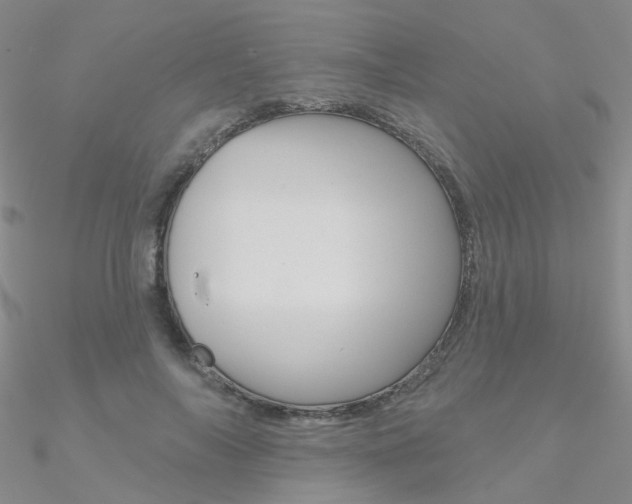 X0000090970694200708021143
