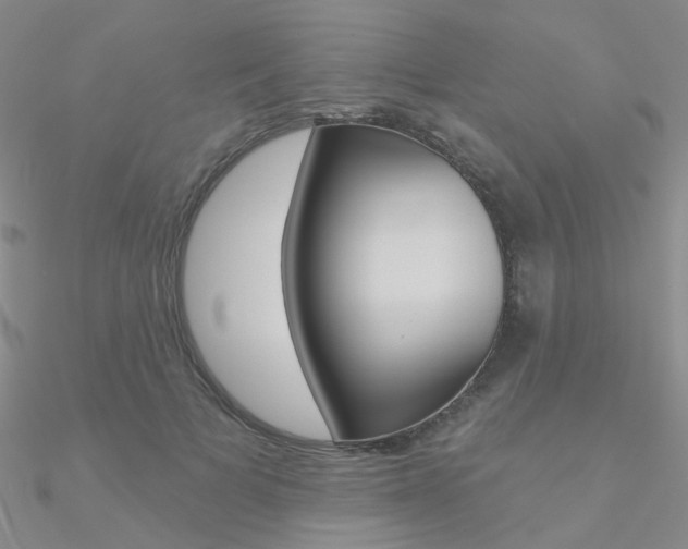 X0000090970697200708021143