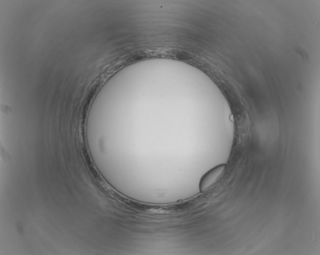 X0000090970699200708021143