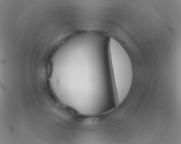 X0000090970700200708021143