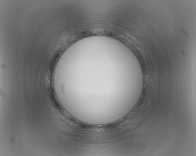 X0000090970702200708021143