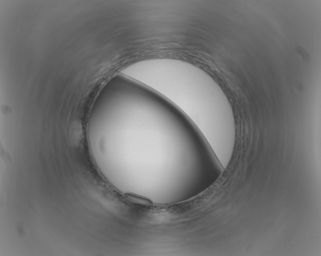 X0000090970704200708021143