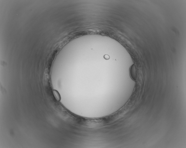 X0000090970707200708021142