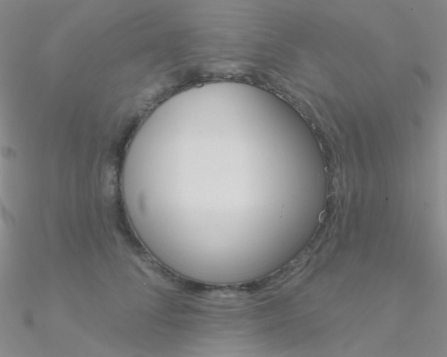 X0000090970708200708021142