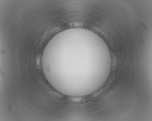 X0000090970709200708021142