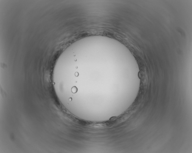 X0000090970711200708021142