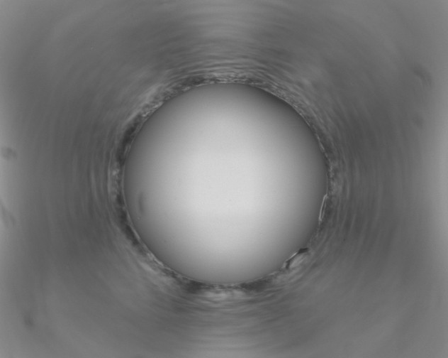 X0000090970712200708021142