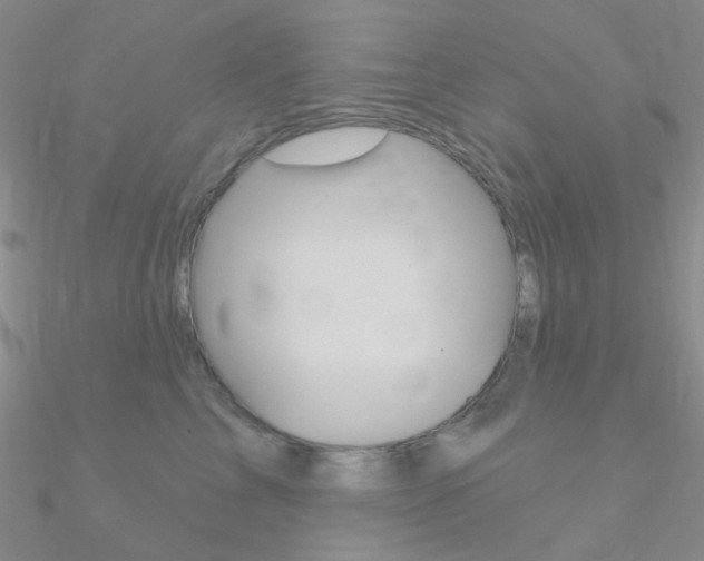 X0000090970713200708021142
