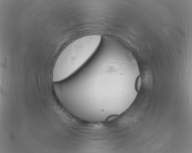 X0000090970715200708021142