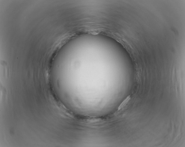 X0000090970716200708021142