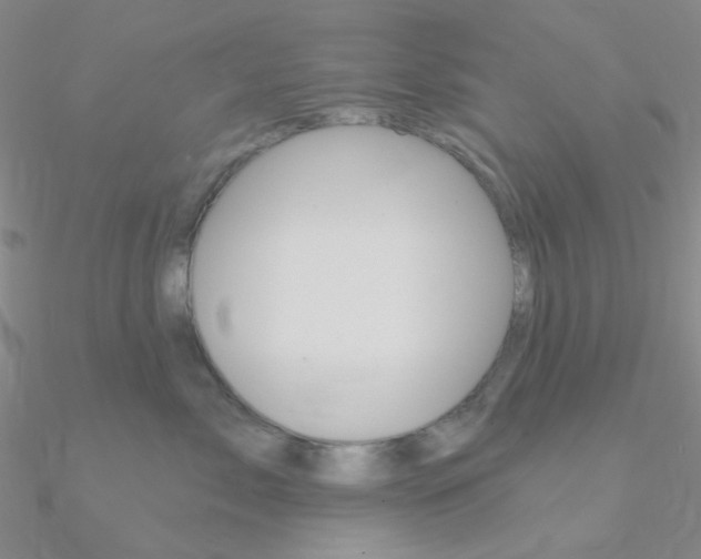X0000090970717200708021142