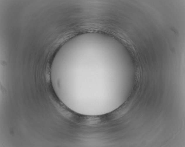 X0000090970719200708021142