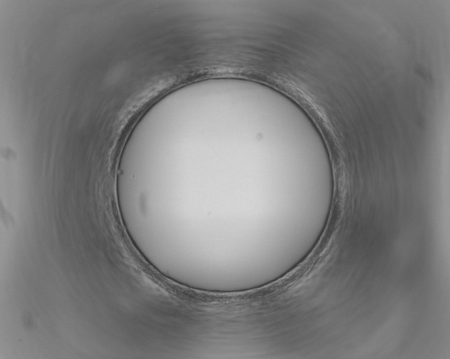 X0000090970721200708021142