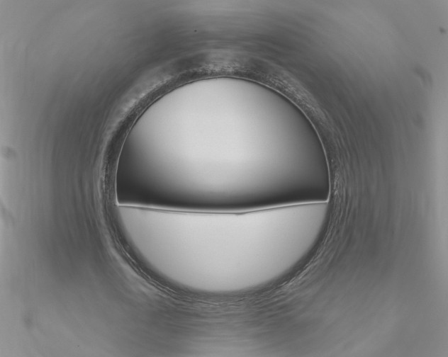 X0000090970722200708021142