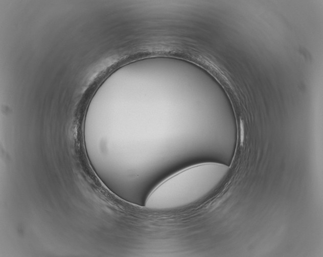 X0000090970723200708021142