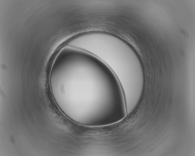 X0000090970724200708021142