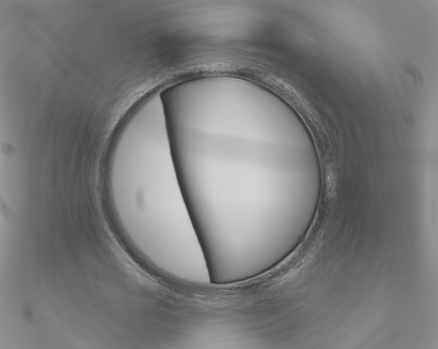 X0000090970725200708021142