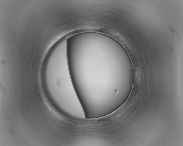X0000090970726200708021142