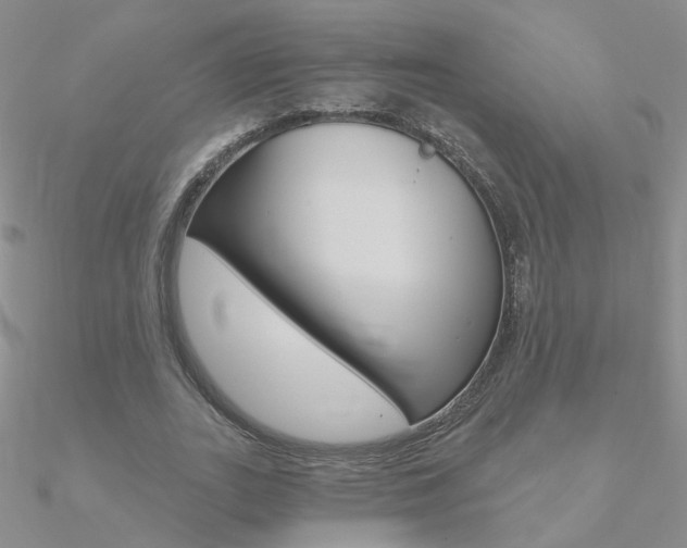 X0000090970727200708021142