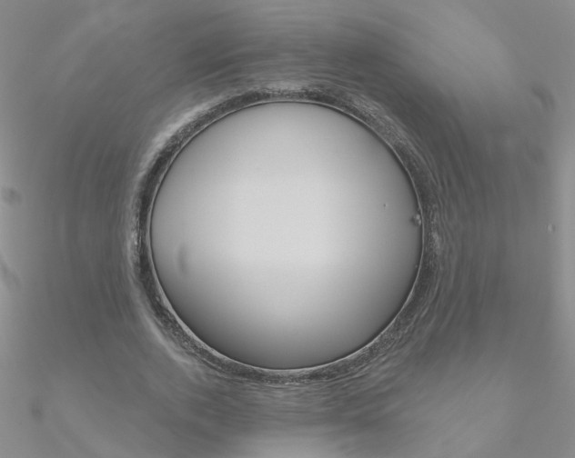 X0000090970728200708021142
