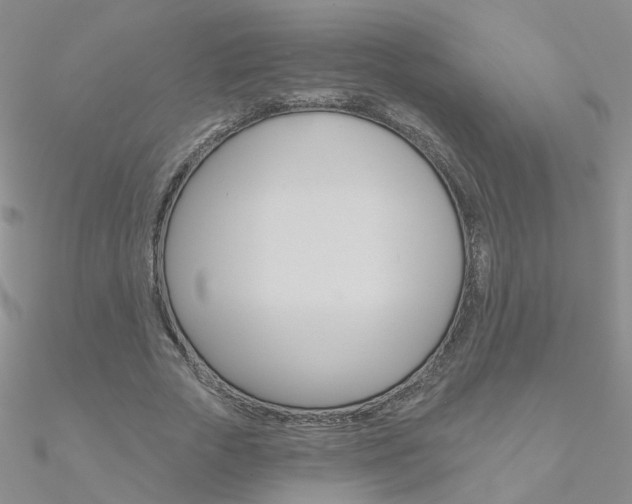 X0000090970729200708021142
