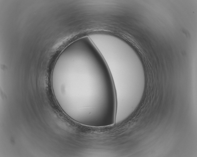 X0000090970732200708021142