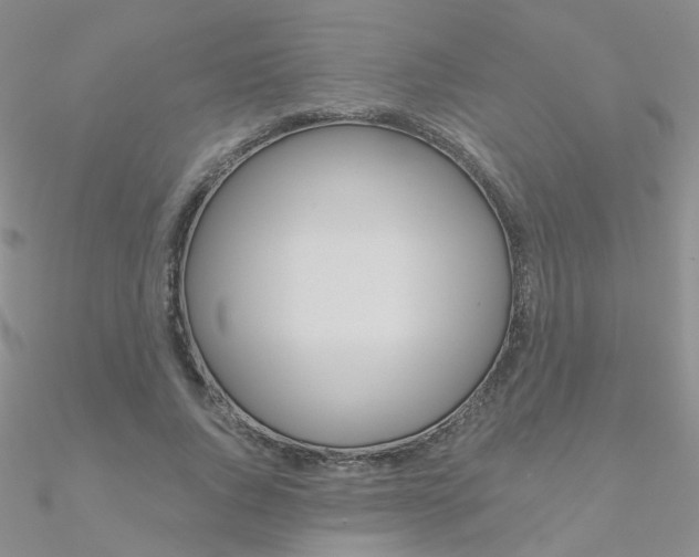 X0000090970736200708021142