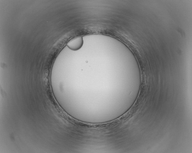 X0000090970737200708021142