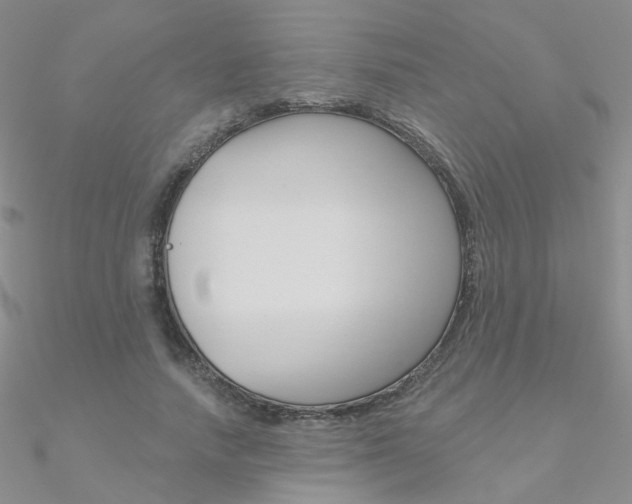 X0000090970738200708021142