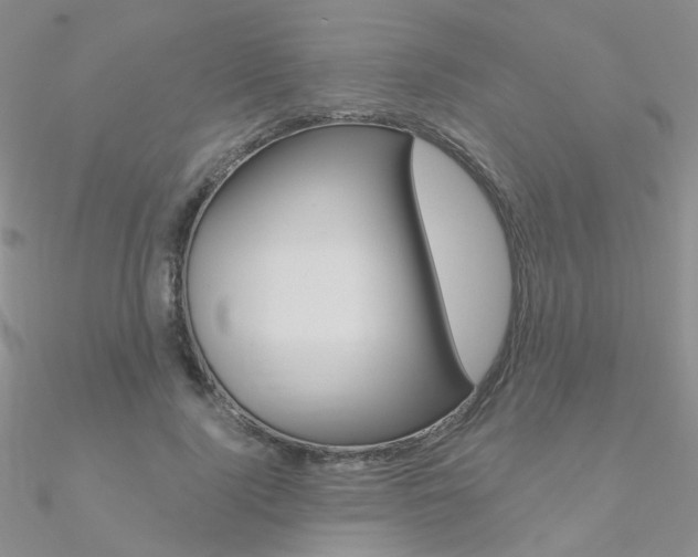 X0000090970740200708021142