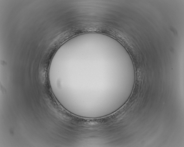 X0000090970741200708021142