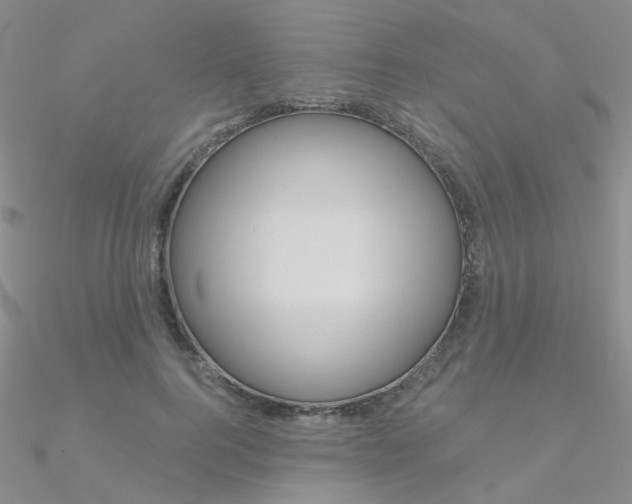 X0000090970744200708021142