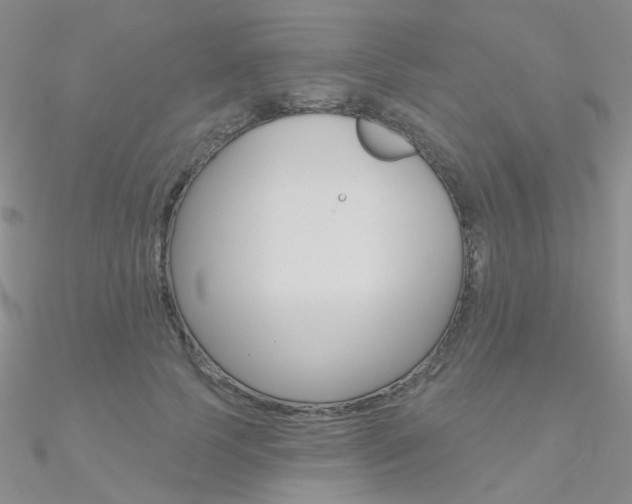 X0000090970745200708021142
