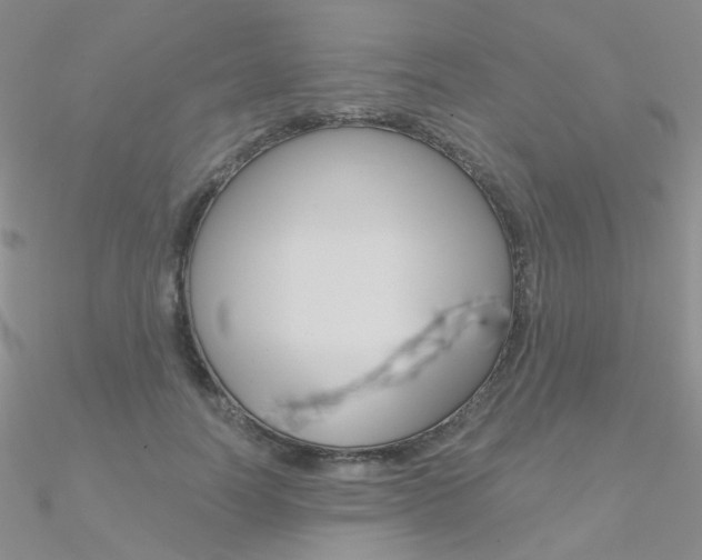 X0000090970746200708021142