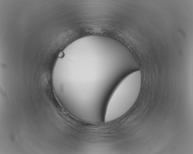 X0000090970747200708021142