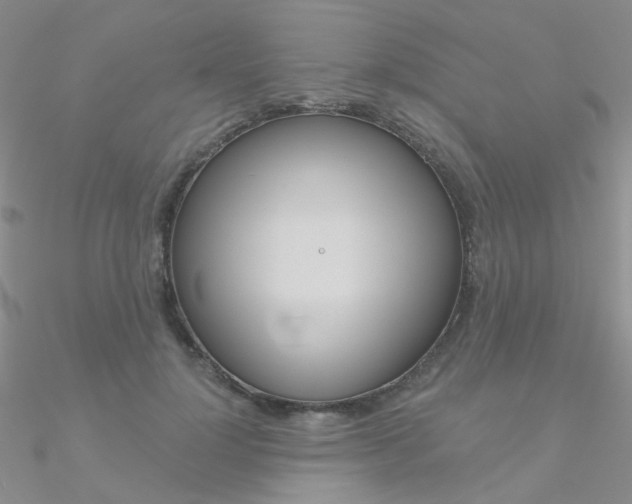 X0000090970748200708021142