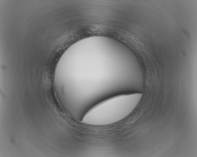 X0000090970751200708021142