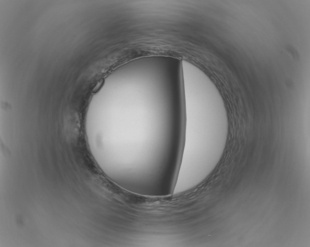 X0000090970752200708021142