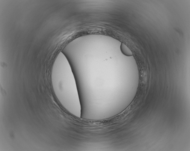 X0000090970753200708021142