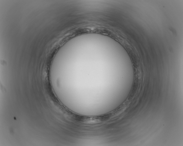 X0000090970754200708021142
