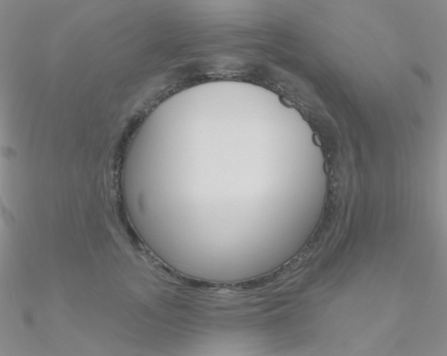 X0000090970755200708021142