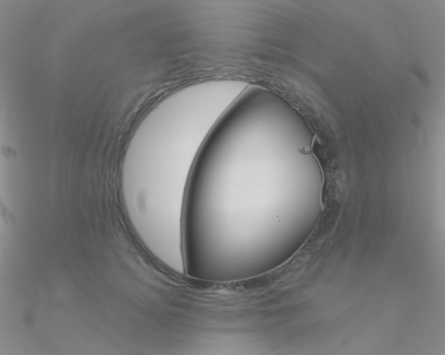 X0000090970756200708021142