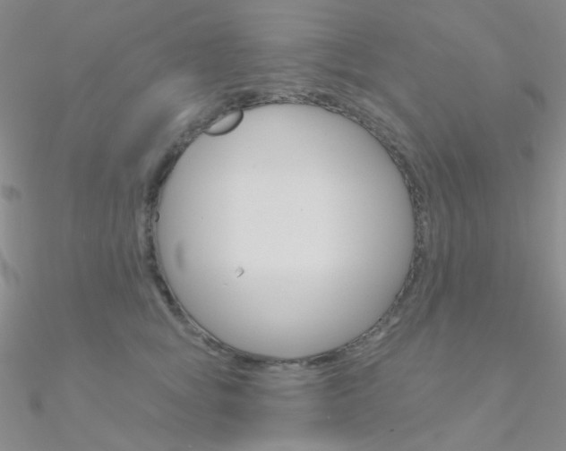 X0000090970757200708021142