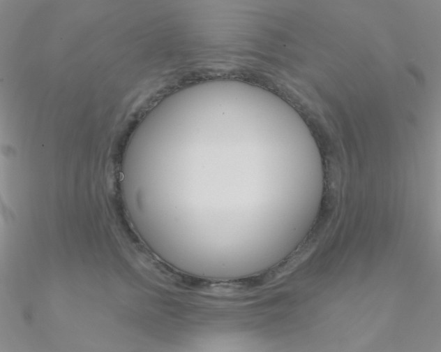 X0000090970758200708021142