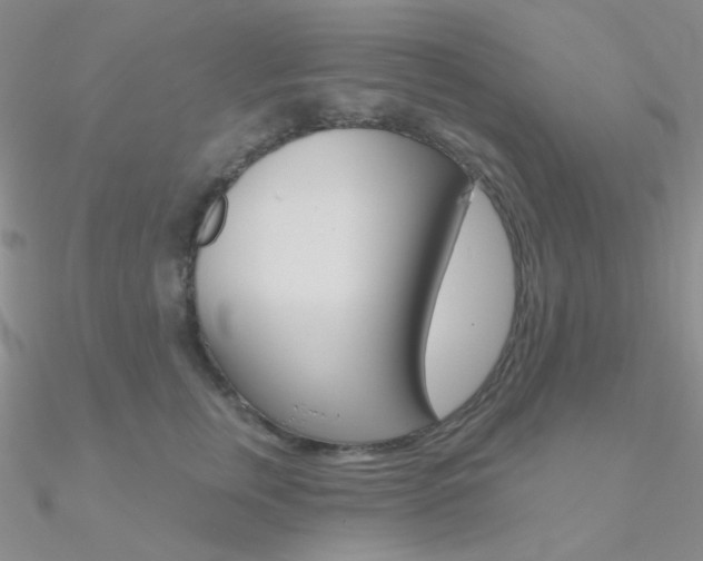 X0000090970759200708021142
