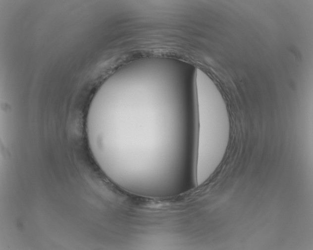 X0000090970760200708021142