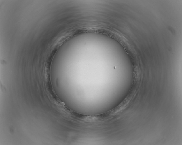 X0000090970762200708021142