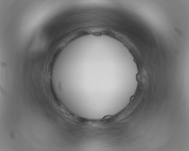 X0000090970763200708021142