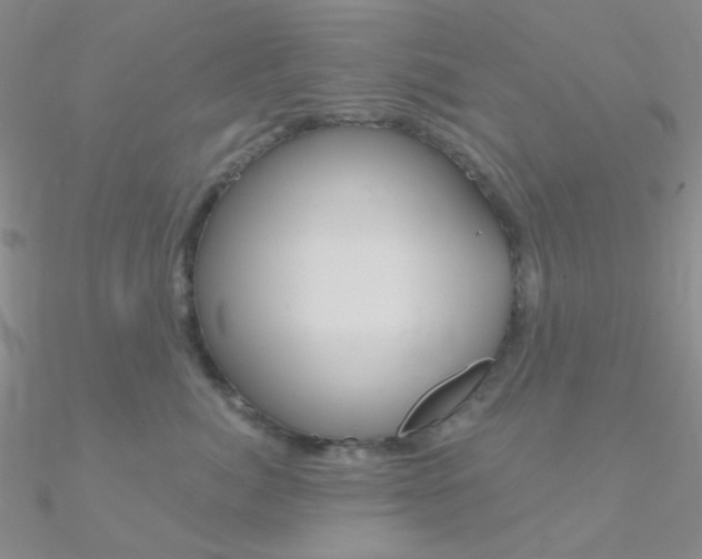 X0000090970764200708021142